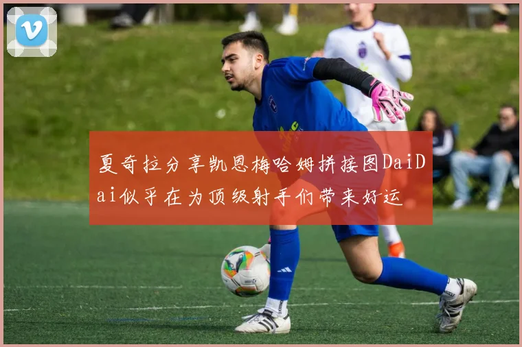 夏奇拉分享凯恩梅哈姆拼接图DaiDai似乎在为顶级射手们带来好运